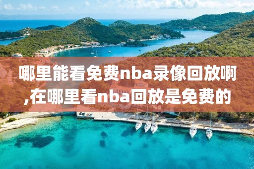 哪里能看免费nba录像回放啊,在哪里看nba回放是免费的