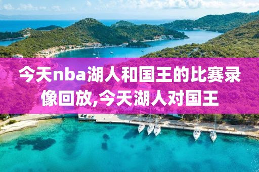 今天nba湖人和国王的比赛录像回放,今天湖人对国王