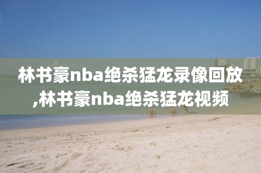 林书豪nba绝杀猛龙录像回放,林书豪nba绝杀猛龙视频
