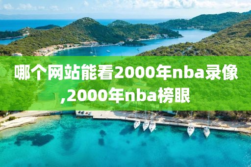 哪个网站能看2000年nba录像,2000年nba榜眼