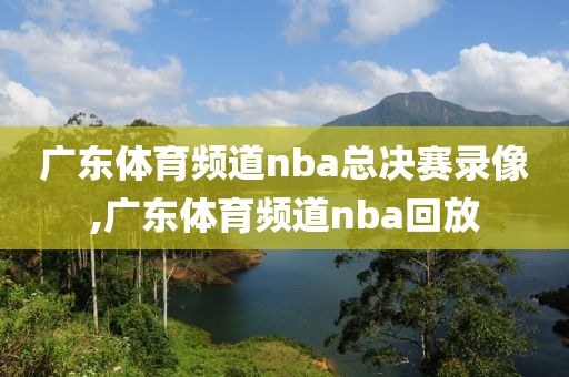 广东体育频道nba总决赛录像,广东体育频道nba回放