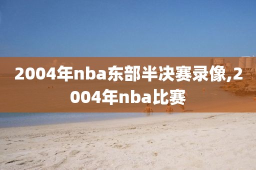 2004年nba东部半决赛录像,2004年nba比赛