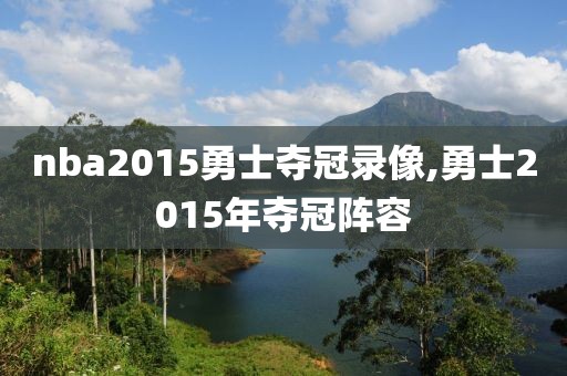nba2015勇士夺冠录像,勇士2015年夺冠阵容