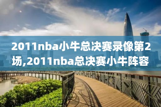 2011nba小牛总决赛录像第2场,2011nba总决赛小牛阵容