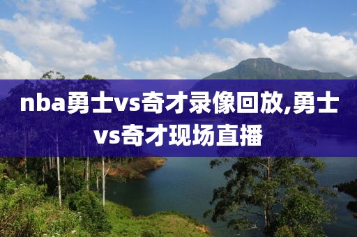 nba勇士vs奇才录像回放,勇士vs奇才现场直播