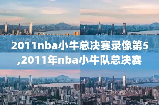 2011nba小牛总决赛录像第5,2011年nba小牛队总决赛