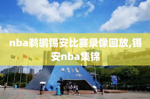 nba鹈鹕锡安比赛录像回放,锡安nba集锦